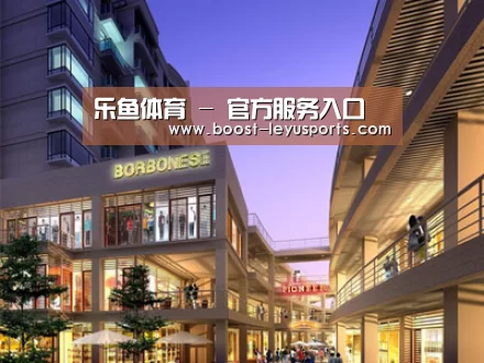 案例展示一(图1)