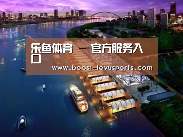 案例展示八