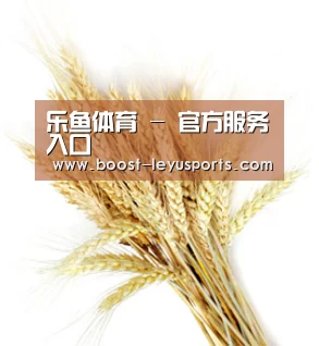乐鱼体育 - 官方服务入口