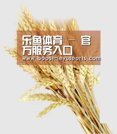 乐鱼体育 - 官方服务入口