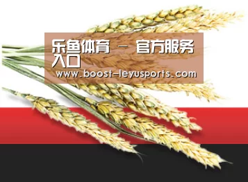 乐鱼体育 - 官方服务入口