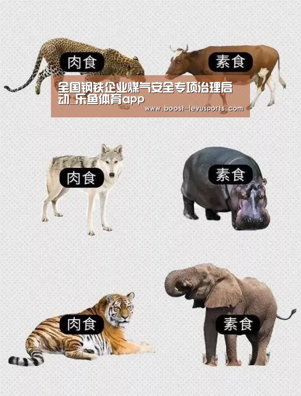 乐鱼体育app