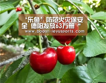 ‘乐鱼’防范火灾保安全 德阳发放63万册“消防知识卡”(图1) 乐鱼体育app