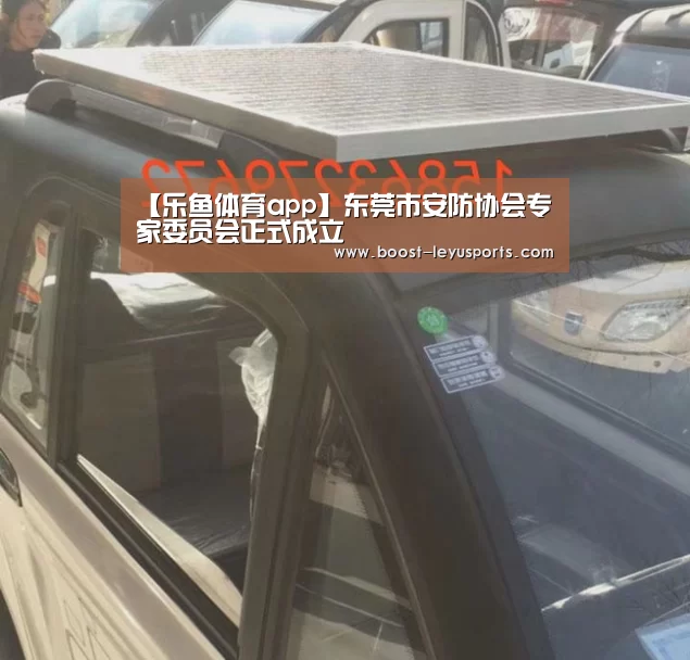 【乐鱼体育app】东莞市安防协会专家委员会正式成立(图4) 乐鱼体育