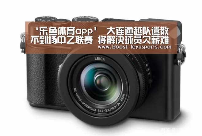 乐鱼
