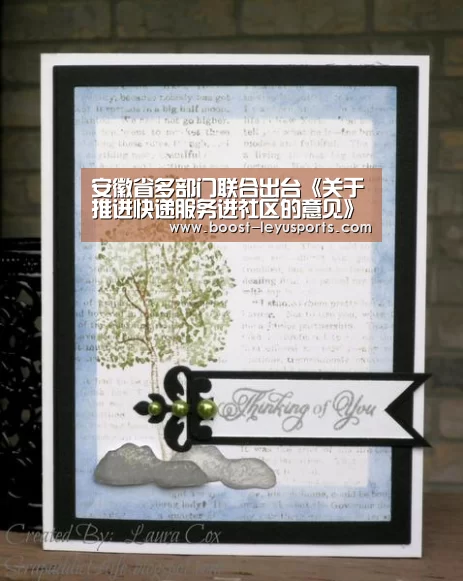 乐鱼体育app
