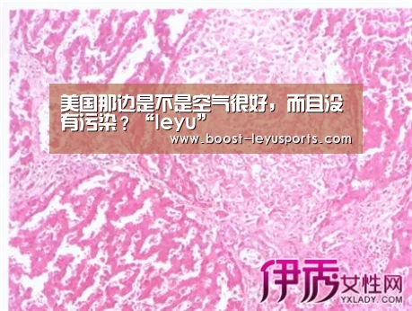 美国那边是不是空气很好，而且没有污染？“leyu”(图1)