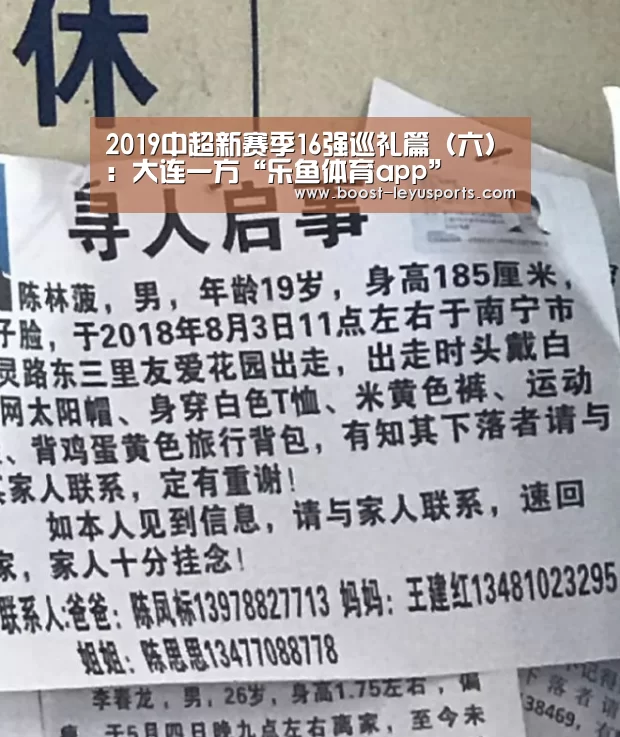 2019中超新赛季16强巡礼篇（六）：大连一方“乐鱼体育app”(图1)