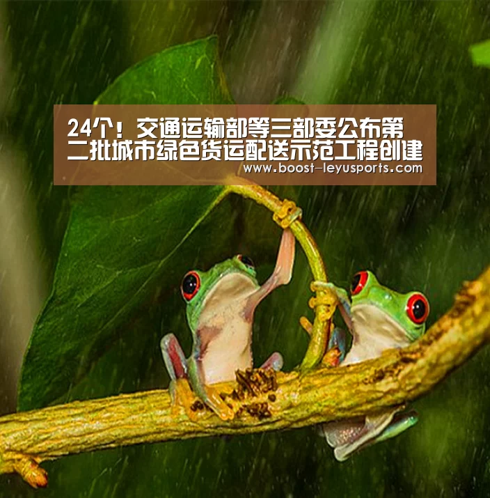 24个！交通运输部等三部委公布第二批城市绿色货运配送示范工程创建城市...‘leyu’(图4)